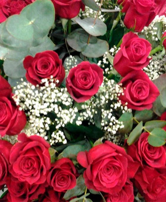 Comprar Rosas Rojas en Lasarte-Oria